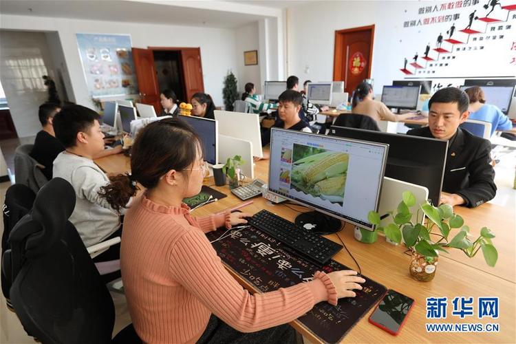 河北省张家口市万全区一家农产品加工企业的销售人员在通过互联网销售